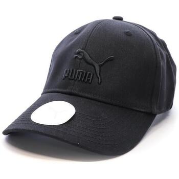 Pet Puma -