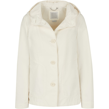 Blazer Geox -