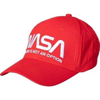 Pet Nasa BASIC WORM