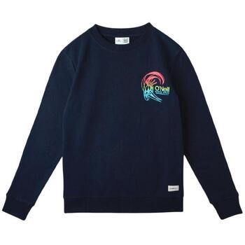 Sweater O'neill -
