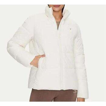 Windjack Guess -