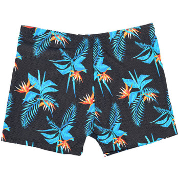 Korte Broek Sun Project -