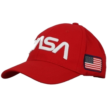 Pet Nasa FLAG WORM