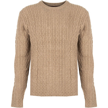 Trui Pepe jeans PM702278 | New Jules