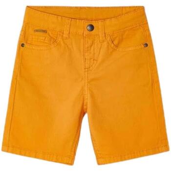 Korte Broek Mayoral -