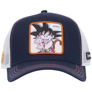 Pet Capslab DRAGON BALL Z