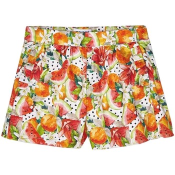Korte Broek Mayoral -