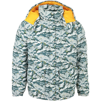 Donsjas The North Face Liberty Sierra Down Jacket