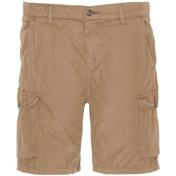 Korte Broek Schott -