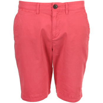 Korte Broek Superdry International Chino Short