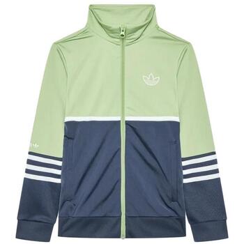 Blazer adidas -