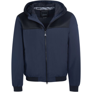 Blazer Geox -
