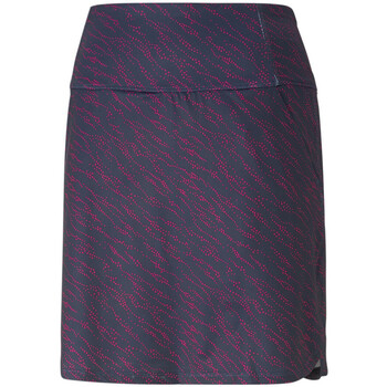 Rok Puma -