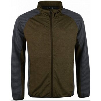 Windjack High Colorado -