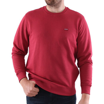 Sweater Guess -