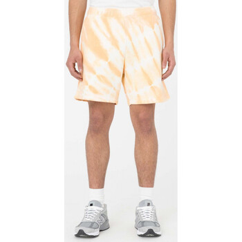 Korte Broek Dickies Westfir short