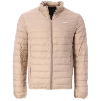 Donsjas Schott -