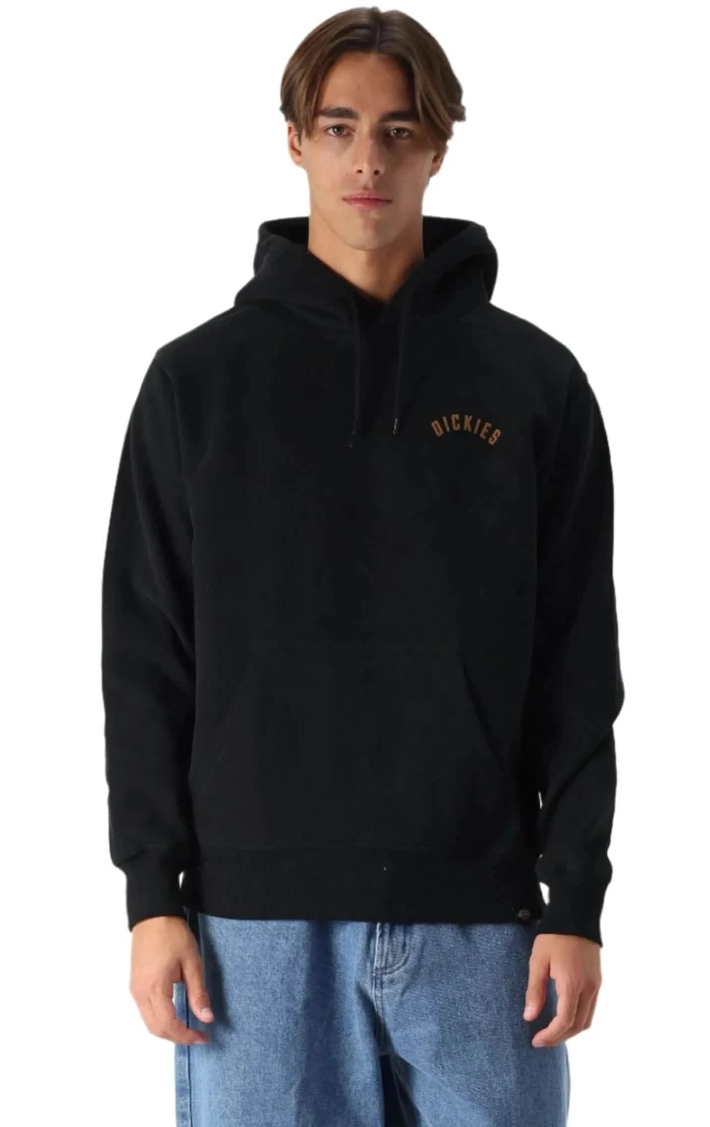 Dickies Panther Hoodie Zwart