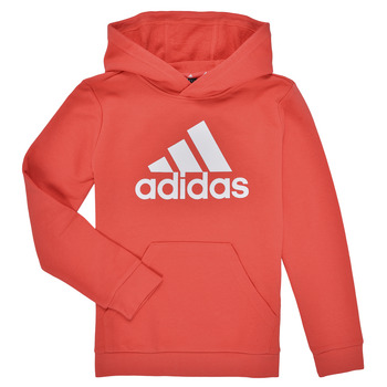 adidas Sportswear Hoodie BIG LOGO ESSENTIALS COTTON HOODIE