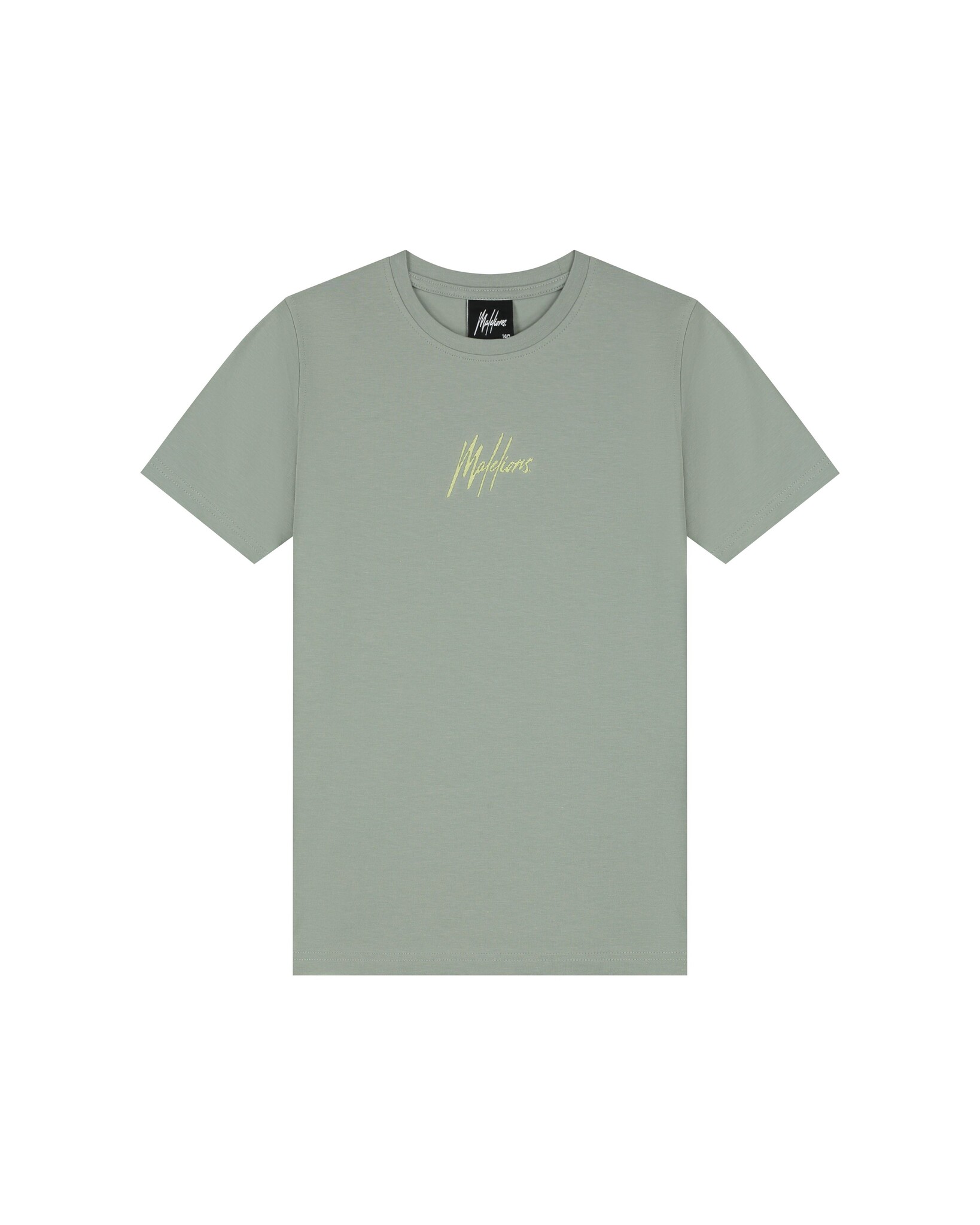 Malelions Zomer t-shirt jongens agave signature gestreept