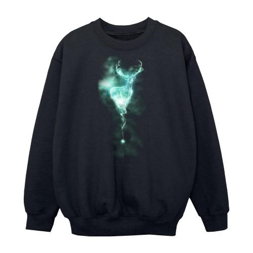 Harry Potter Boys Patronus Mist Stag Sweatshirt 12-13 zwart