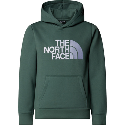 The North Face Kinderen Boys Drew Peak Hoodie