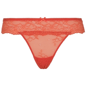 Slips Lingadore DAILY String