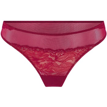 Slips Lingadore String