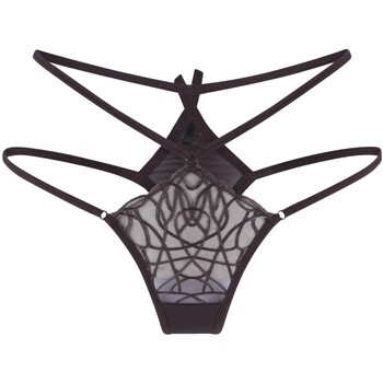 Slips Lingadore String
