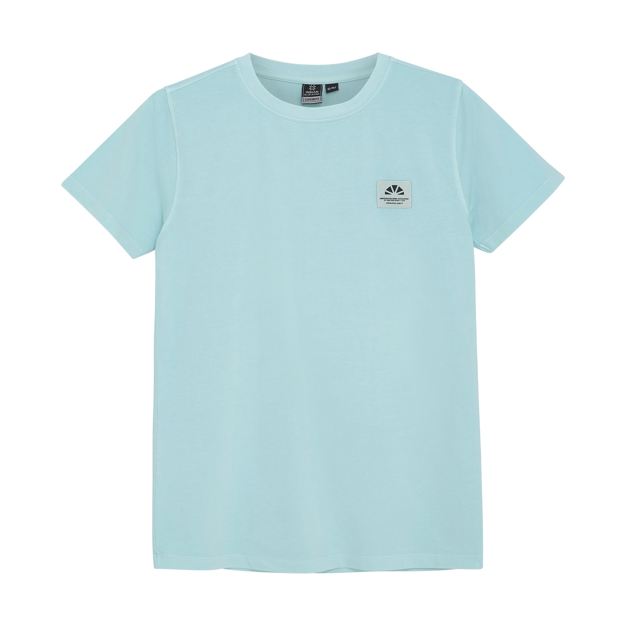 Indian Blue Zomer t-shirt s/s jongens - print