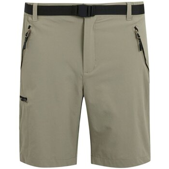 Korte Broek Regatta -