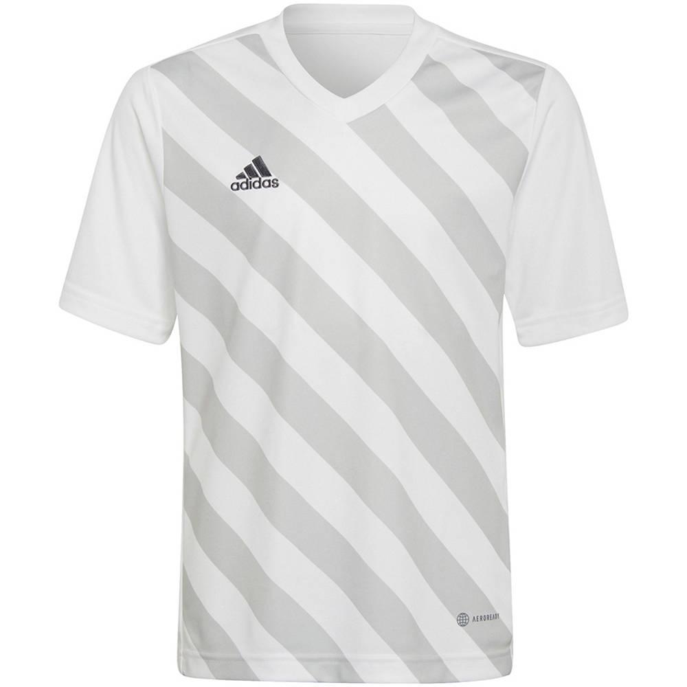Adidas Kinder/kids entrada 22 grafische trui