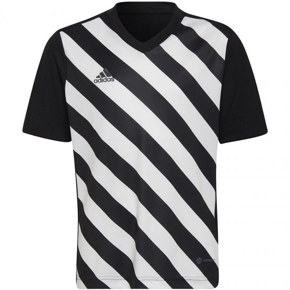Adidas Kinder/kids entrada 22 grafische trui