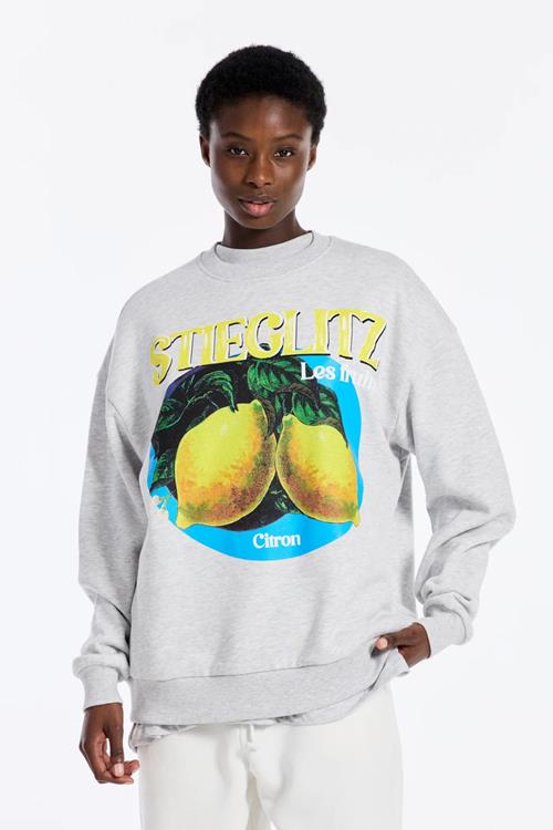 Stieglitz Lave Sweater | Melange grey