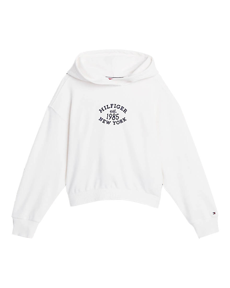 Tommy Hilfiger Hoodie kg0kg08033