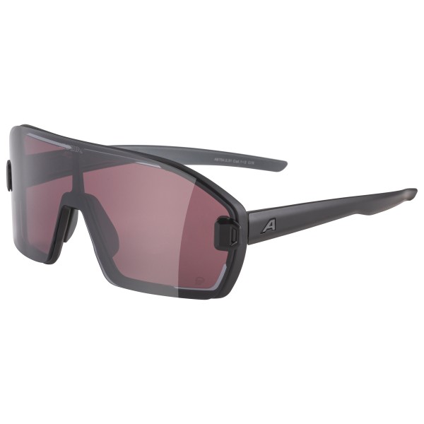 Alpina - Bonfire Mag Q S1 + S3 - Zonnebril grijs