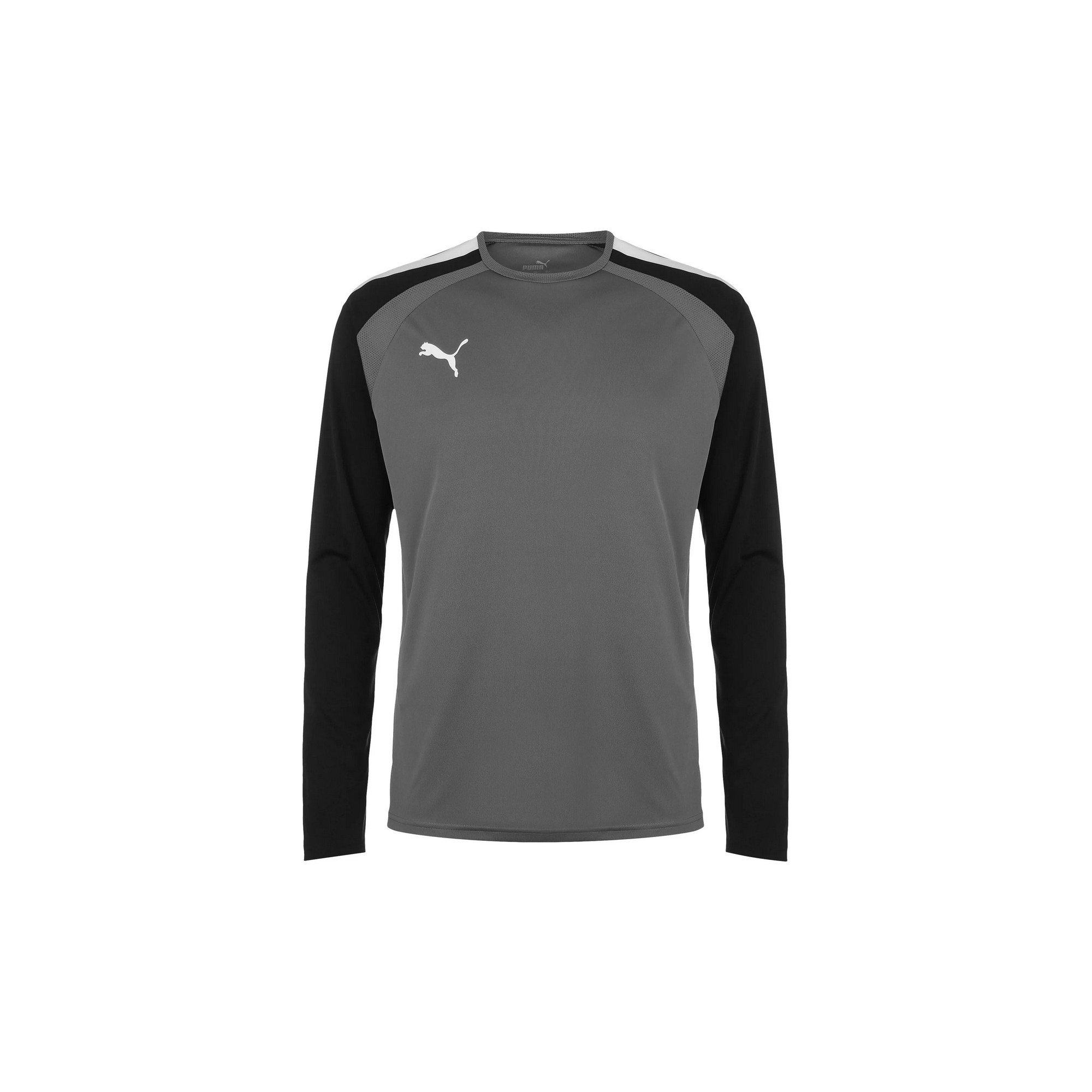 Puma Heren teampacer keepershirt met lange mouwen