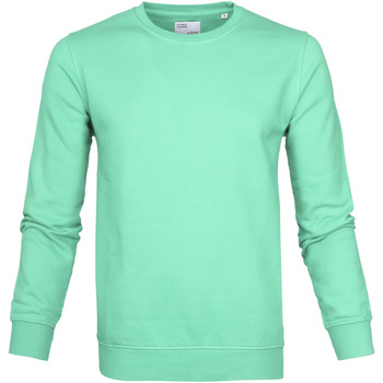 Sweater Colorful Standard Sweater Faded Mint