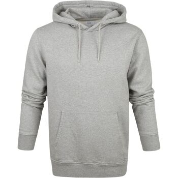 Sweater Colorful Standard Hoodie Grijs