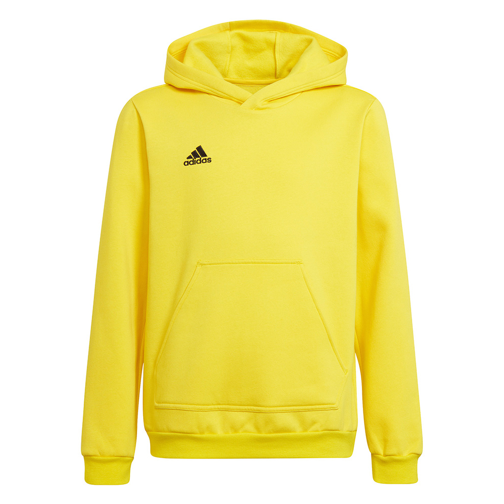 Adidas Kinderen/kinderen entrada 22 hoodie