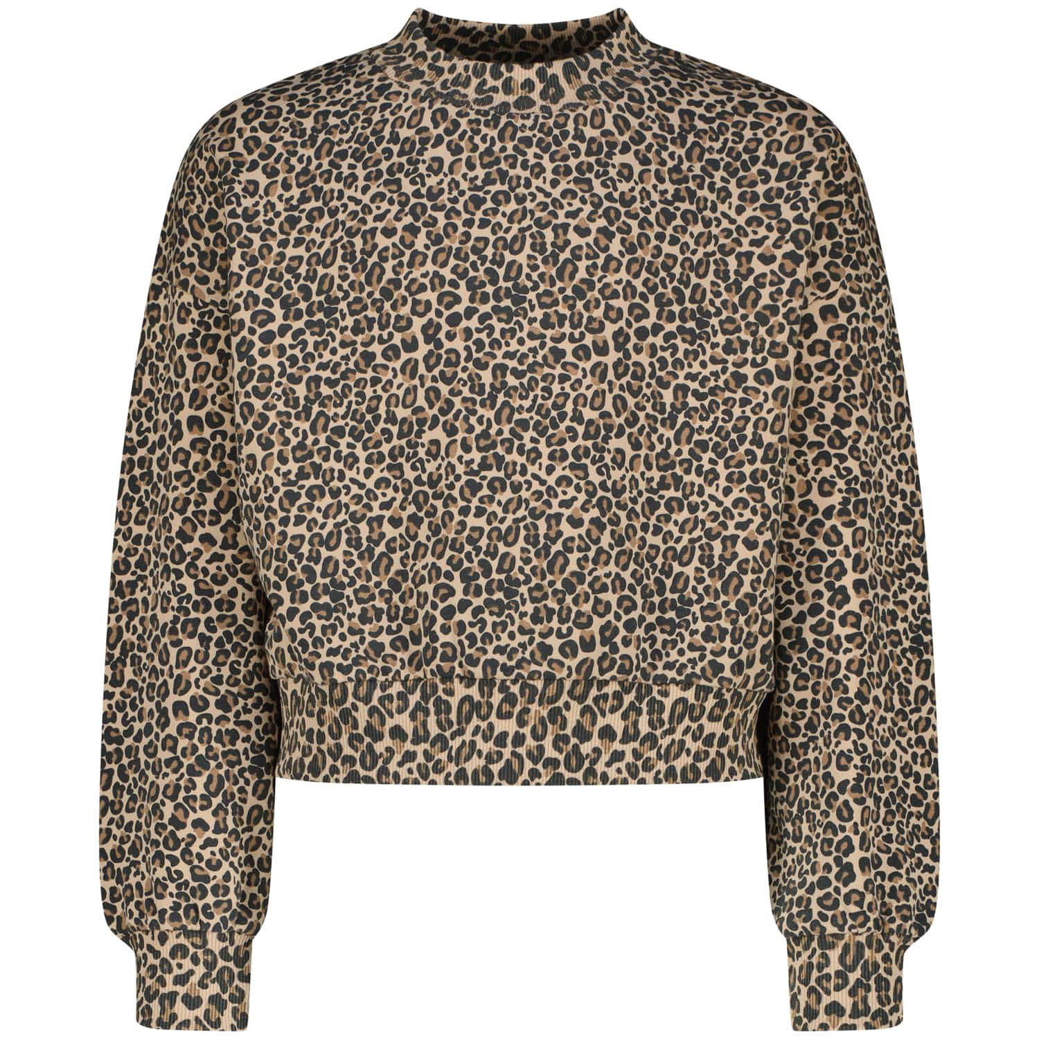 Raizzed Jela Sweater