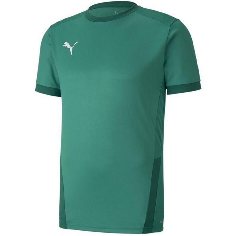 Puma Heren teamgoal 23 jersey