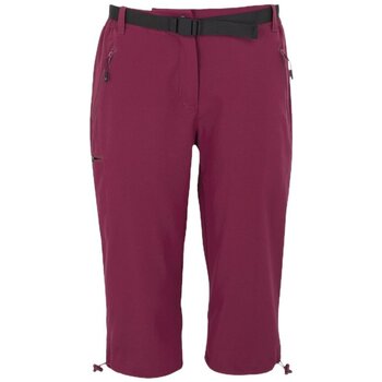 Korte Broek Regatta -