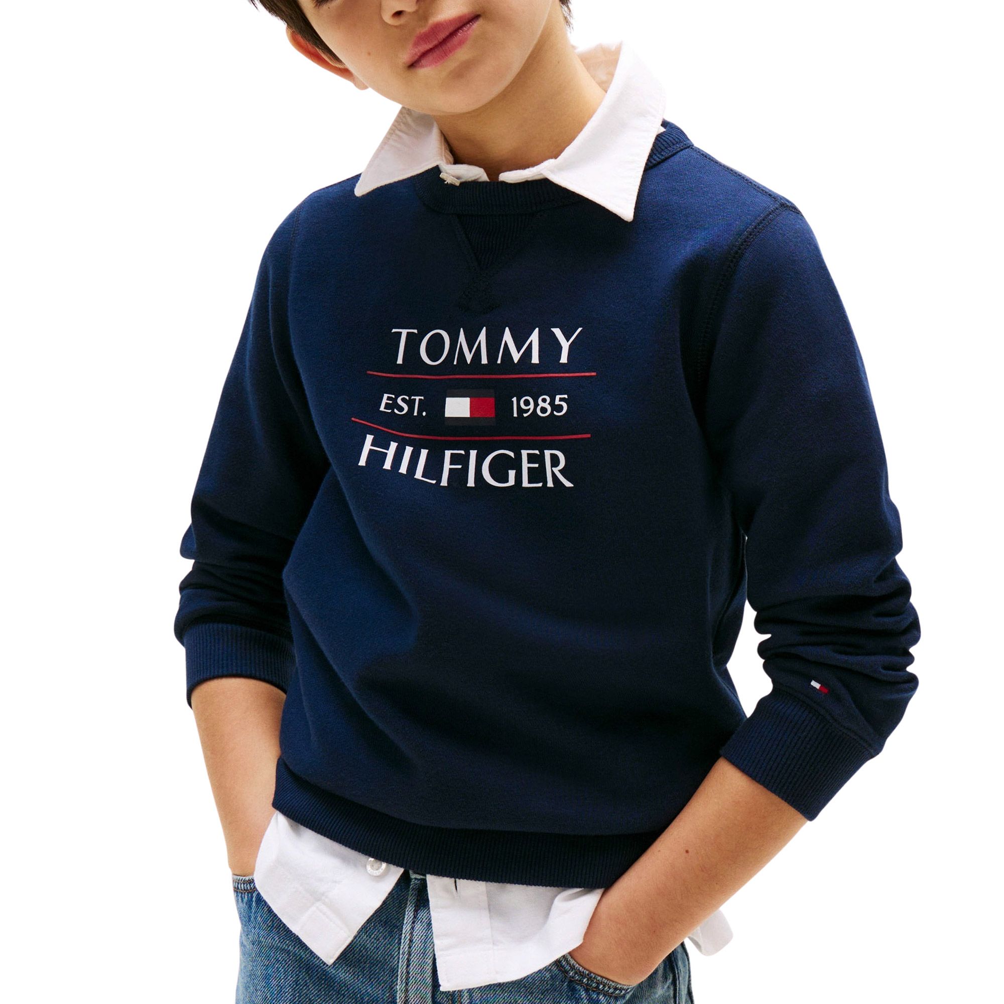 Tommy Hilfiger Flag Logo Sweater Junior