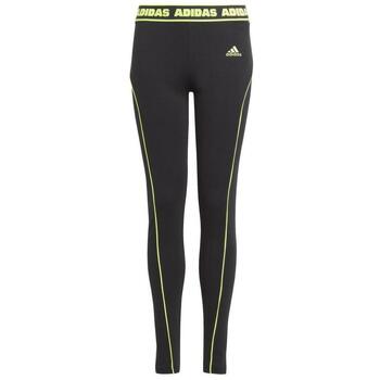 Legging adidas ia1586
