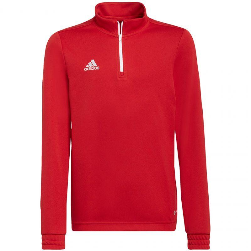 Adidas Kinder/kids entrada 22 trainings top