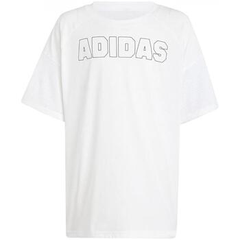 T-shirt Korte Mouw adidas in1908