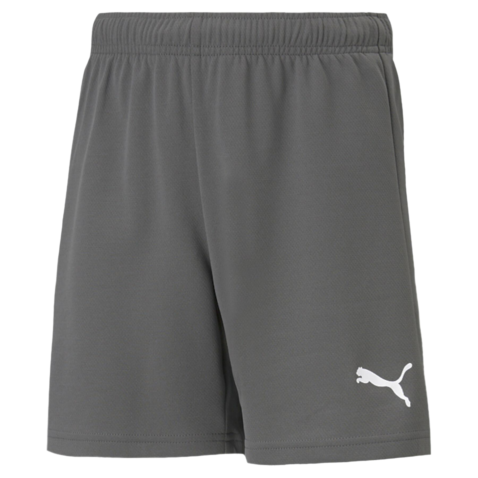 Puma Teamrise shorts voor kinderen