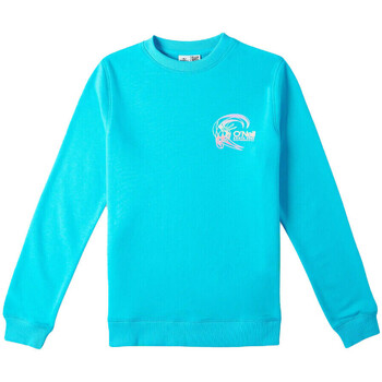 Sweater O'neill -