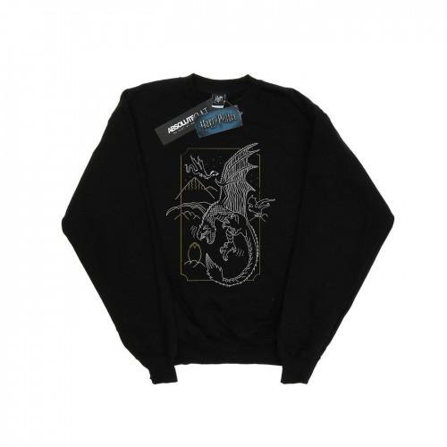 Harry Potter meisjes Dragon Line Art Sweatshirt 12-13 wit